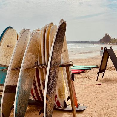 Surfles in Sri Lanka